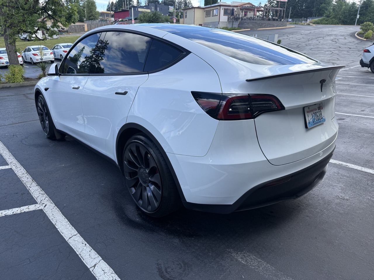 Model Y 6